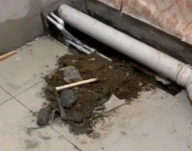 麦积卫生间漏水检测哪家好